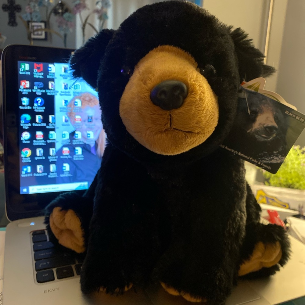 Stuffed bear